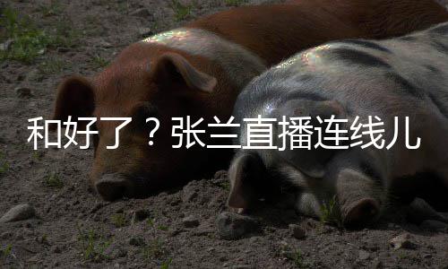 怒大S怼网友疑心病太重儿媳张兰直播和好了连线